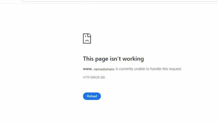 Cara Mengatasi Error “This Page Isn’t Working” pada Sitemap di WordPress, Error 500